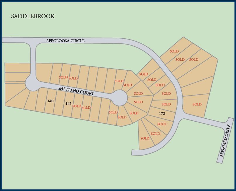 Communtiy map of Saddlebrook