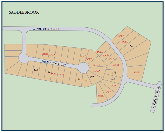 Communtiy map of Saddlebrook